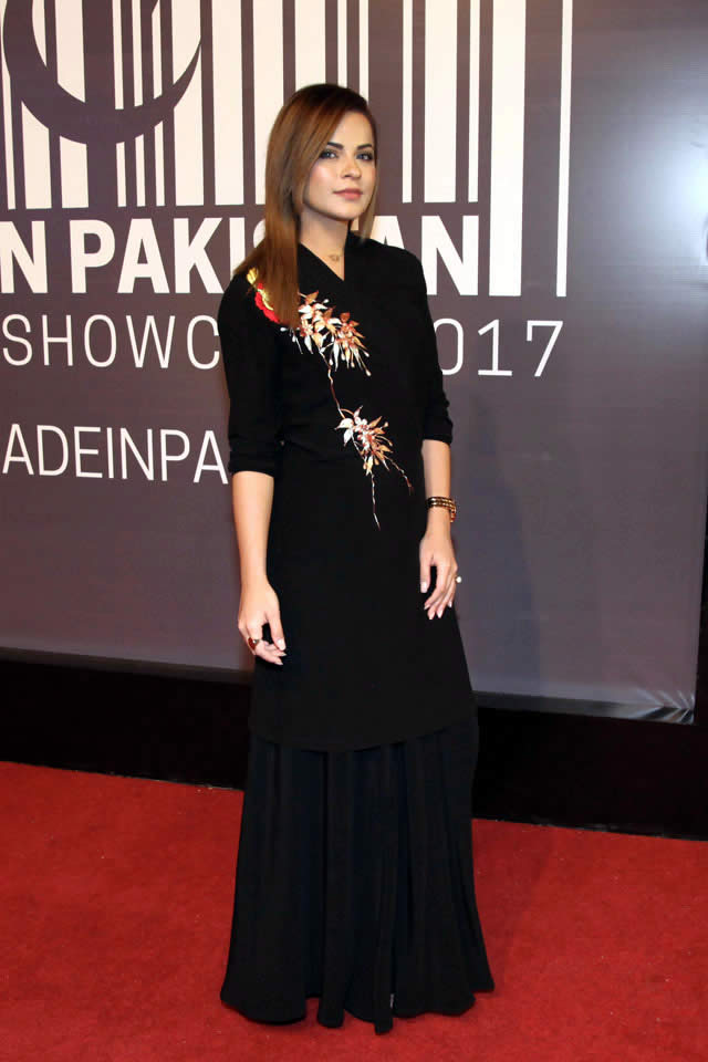 red carpet dresses pakistani